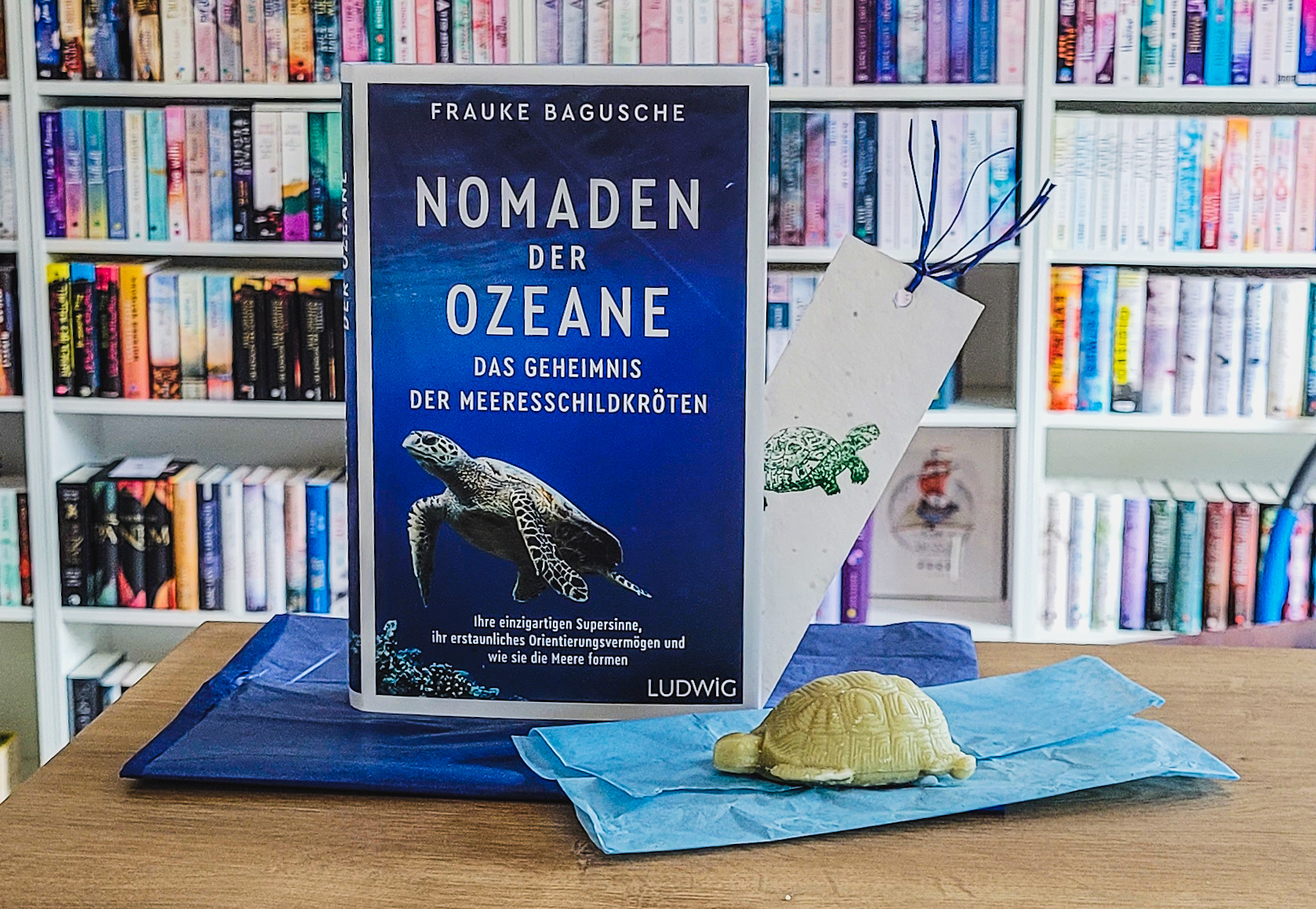 Frenzy Travelling: Nomaden der Ozeane - Das Geheimnis der Meeresschildkröten